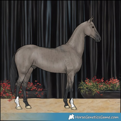 Horse Color:Grullo Brindle 