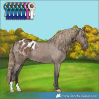 Horse Color:Liver Red Dun Varnish Brindle