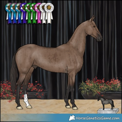 Horse Color:Liver Red Dun Brindle 