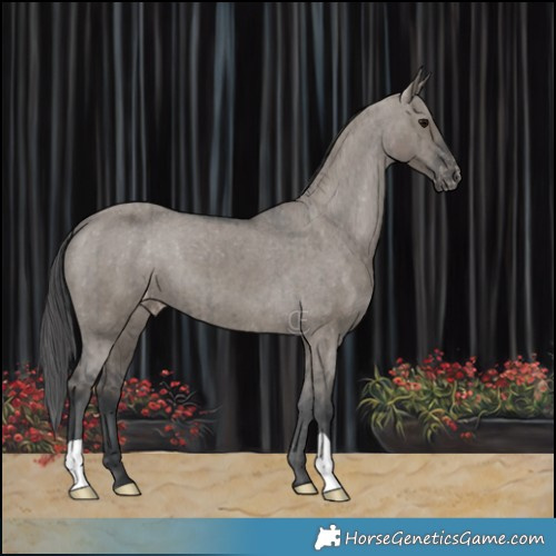 Horse Color:Grullo Varnish Brindle 