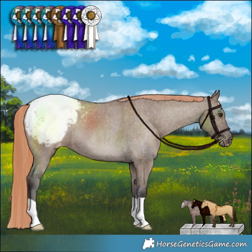 Horse Color:Liver Red Dun Varnish Brindle 
