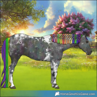 Horse Color:Painted Midnight Chocolate Buckskin Ice Dun Tobiano 