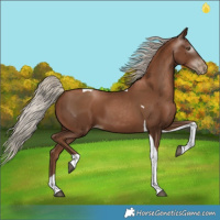 Horse Color:Gray Silver Black Pearl Tobiano 