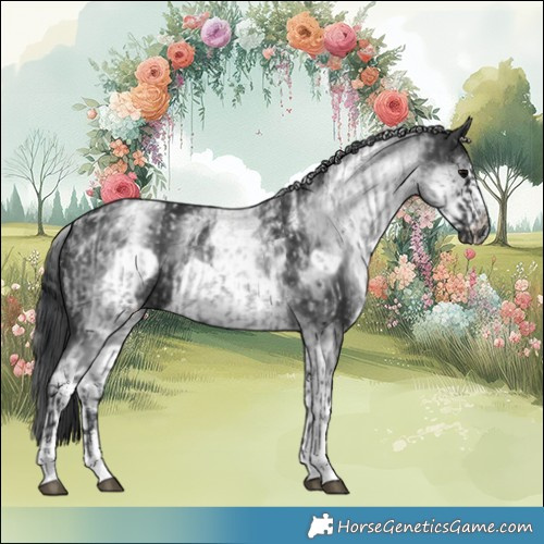 Horse Color:Powder White Blue Roan and Powder White White Spotted Black Frame