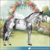 Horse Color:Powder White Blue Roan and Powder White White Spotted Black Frame