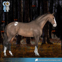 Horse Color:Bay Dun Splash Tobiano Appaloosa Rabicano