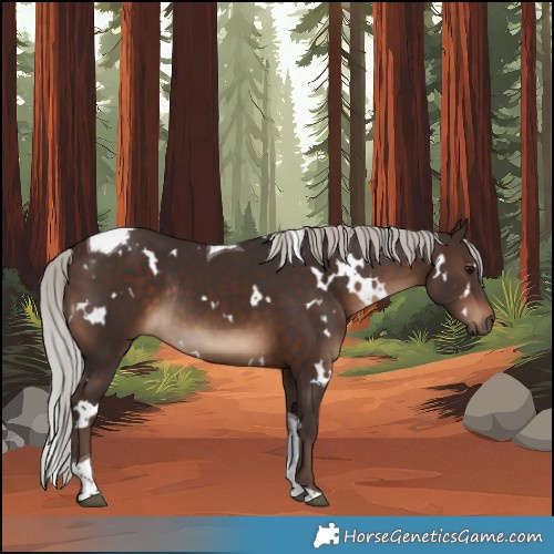 Horse Color:White Spotted Silver Brown Tobiano Rabicano 