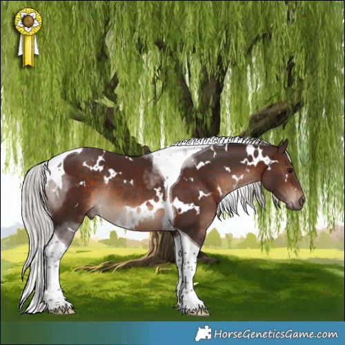 Horse Color:White Spotted Silver Brown Tobiano Rabicano 