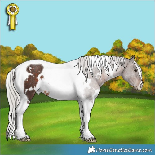 Horse Color:White Spotted Silver Brown Tobiano Rabicano 