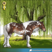 Horse Color:White Spotted Silver Brown Tobiano Rabicano
