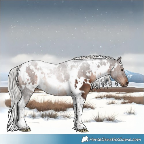 Horse Color:White Spotted Silver Brown Tobiano Rabicano 