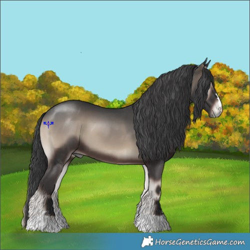 Horse Color:Blue Onyx 