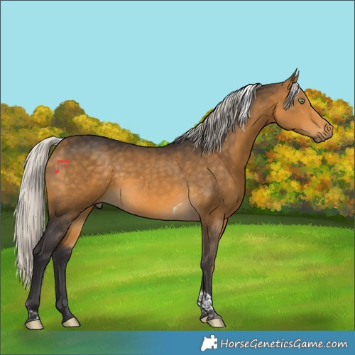 Horse Color:Silver Buckskin Tobiano 