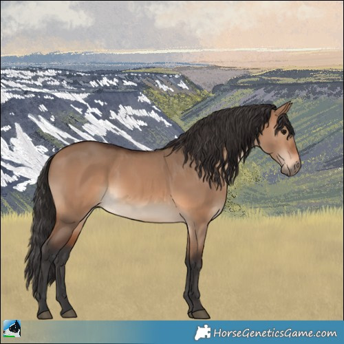 Horse Color:Brown Dun Rabicano