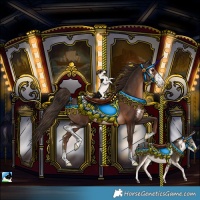 Horse Color:Liver Chestnut Sabino Rabicano 
