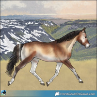 Horse Color:Brown Onyx 