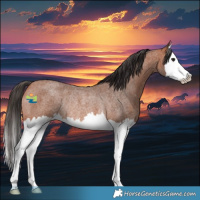 Horse Color:Bay Roan Splash Rabicano 