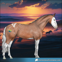 Horse Color:Silver Bay Splash Varnish 