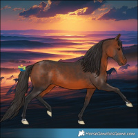 Horse Color:Brown Rabicano 