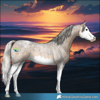 Horse Color:Silver Buckskin Roan Splash Varnish 