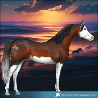 Horse Color:Brown Splash