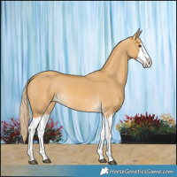 Horse Color:Palomino Dun Splash 
