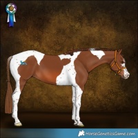 Horse Color:Chestnut Tobiano 