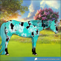 Horse Color:Painted Watercolor White Spotted Black Ice