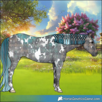 Horse Color:Painted Plaid  White Spotted Black Ice 
