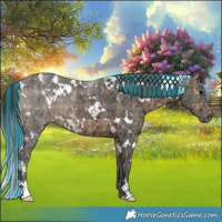 Horse Color:Painted Plaid  White Spotted Brown Ice 