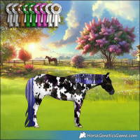 Horse Color:Painted Plaid White Spotted Brown Ice