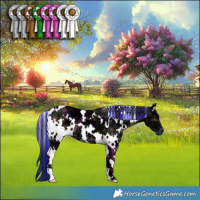 Horse Color:Painted Plaid White Spotted Brown Ice