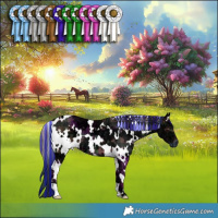 Horse Color:Painted Plaid  White Spotted Brown Ice 