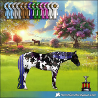 Horse Color:Painted Plaid White Spotted Brown Ice