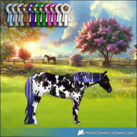 Horse Color:Painted Plaid  White Spotted Brown Ice 