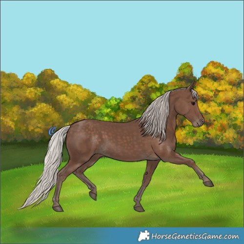 Horse Color:Silver Black 