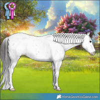 Horse Color:Smoky Black Ice Sabino 