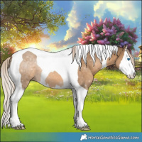 Horse Color:Chocolate Palomino Splash Tobiano 