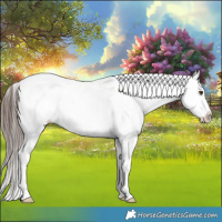 Horse Color:Classic Champagne Ice Dun Sabino Splash 
