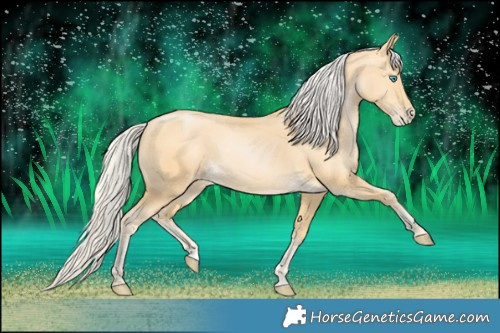 Horse Color:Silver Buckskin Pearl 