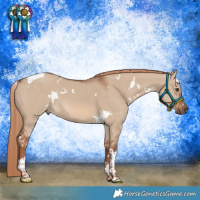 Horse Color:White Spotted Red Dun Tobiano 