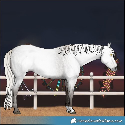 Horse Color:Gray Silver Blue Roan Rabicano 