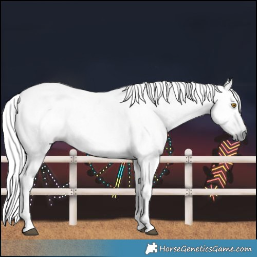 Horse Color:Gray Silver Black 