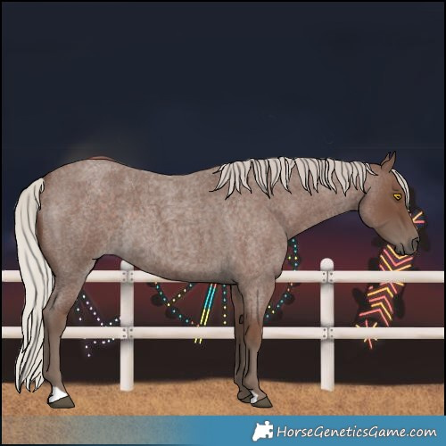 Horse Color:Silver Blue Roan Rabicano 