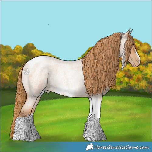 Horse Color:Red Roan Pearl Tobiano Frame 