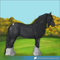 Horse Color:Black Tobiano 