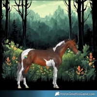 Horse Color:Bay Tobiano