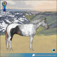 Horse Color:Liver Chestnut Tobiano Rabicano 