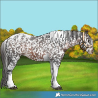 Horse Color:Brown Tobiano Snowflake Varnish