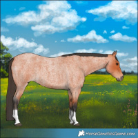 Horse Color:Bay Roan Tobiano 